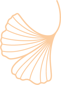 Ginkgo Leaf Single ginkgo leaf in soft tan color